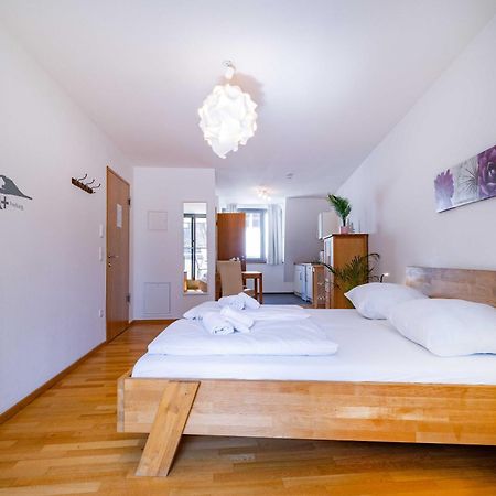 Altstadtloft Am Martinstor 弗赖堡 外观 照片